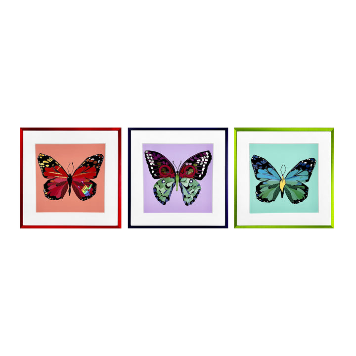 Three Wise Butterflies - 10 x 10 Framed Prints